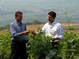 Sandro Gini is the new president of the Soave Consorzio