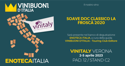 VINIBUONI D ITALIA GUIDE- 2023 EDITION- ENOTECA ITALIA